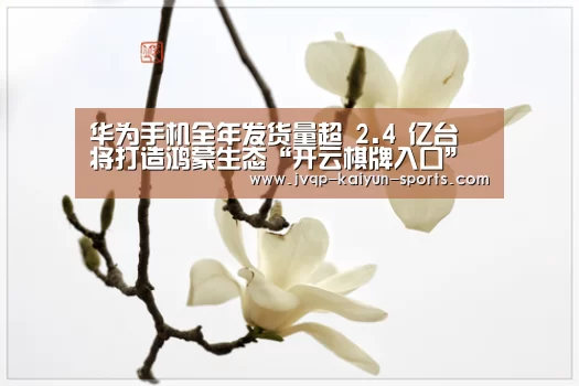 华为手机全年发货量超 2.4 亿台 将打造鸿蒙生态“开云棋牌入口”(图2) 开云棋牌官方下载